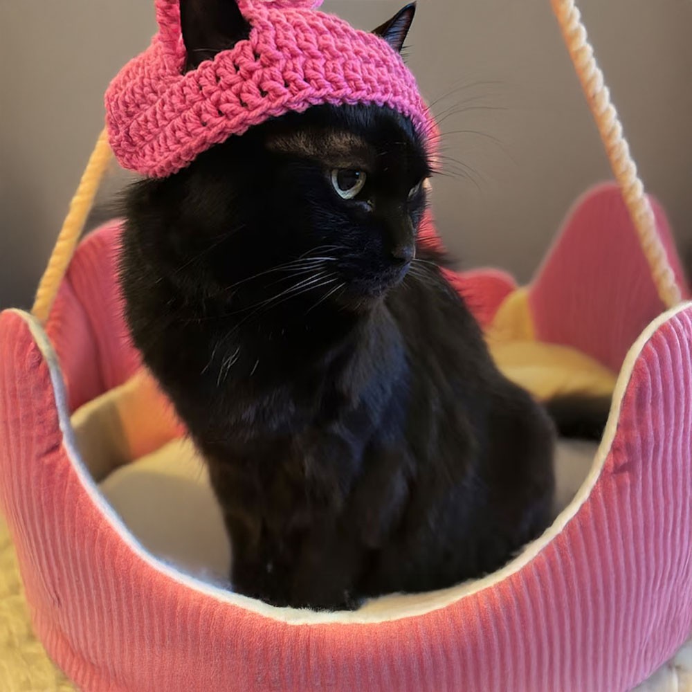 Cute Little Hat