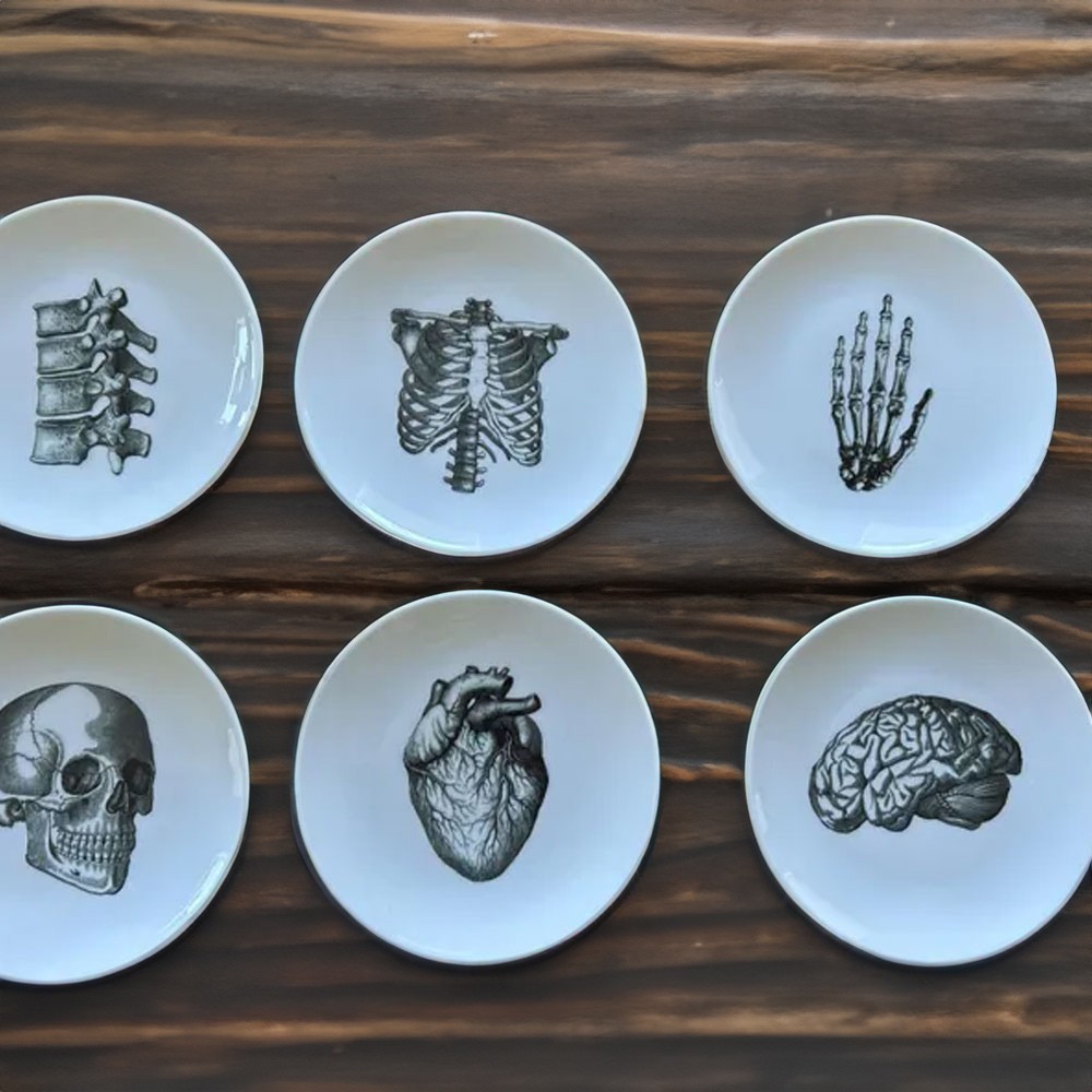 Custom Name  Anatomy Dishes