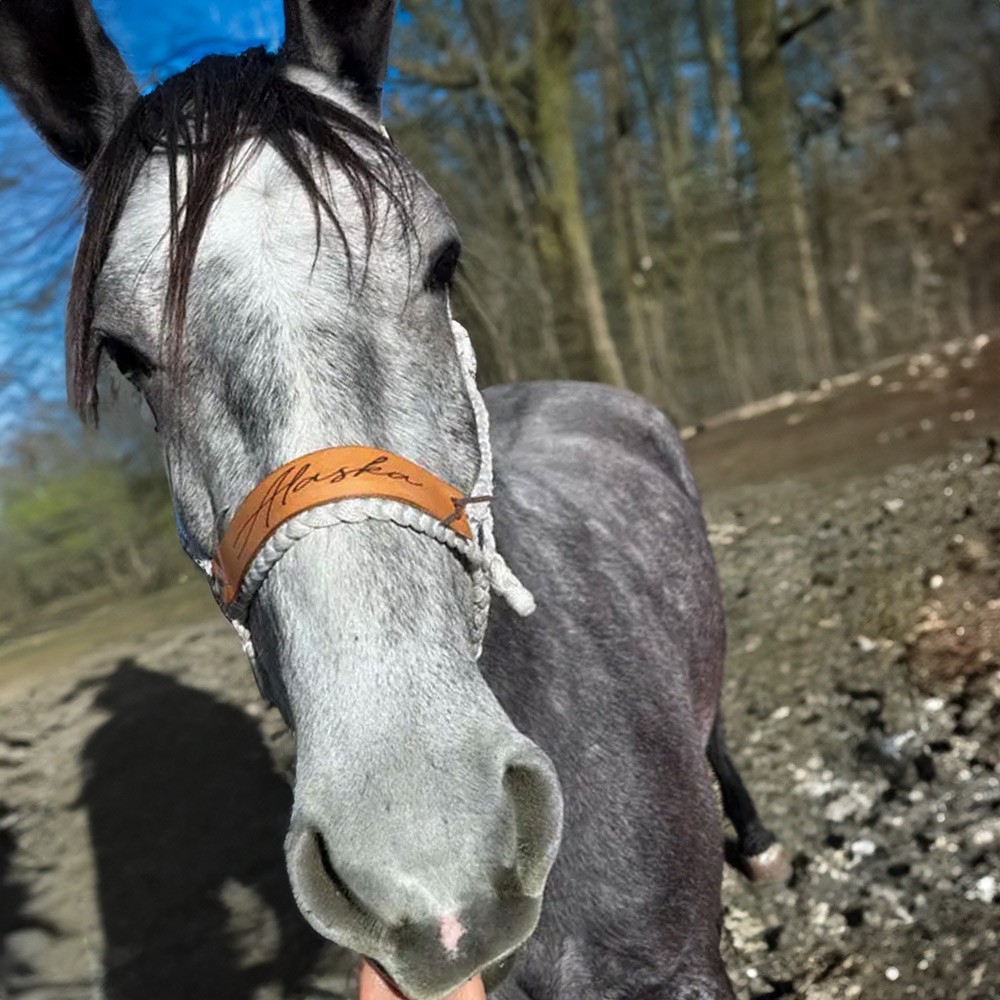 Mule Tape Noseband