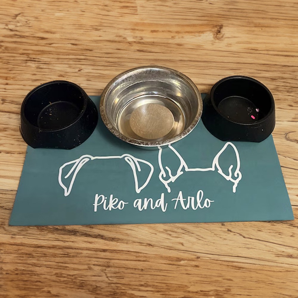 dog mat for food and water