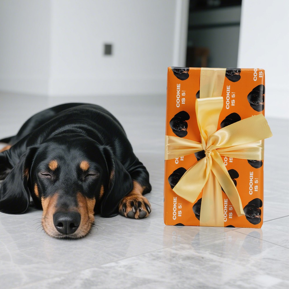 Personalized Wrapping Paper with Portraits and Pet Photo, Funny Heads Print, Gift Wrapping Paper Christmas Rolls, Birthday Gifts for Women/Men/Girl/Boy