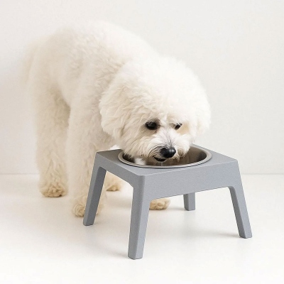 Personalized Elevated Pet Bowl Stand with Name, 3D Printed Colorful Cat/Dog Food & Water Feeder Holder, Pet Neck Friendly, Gift for Pet Lovers/Owners