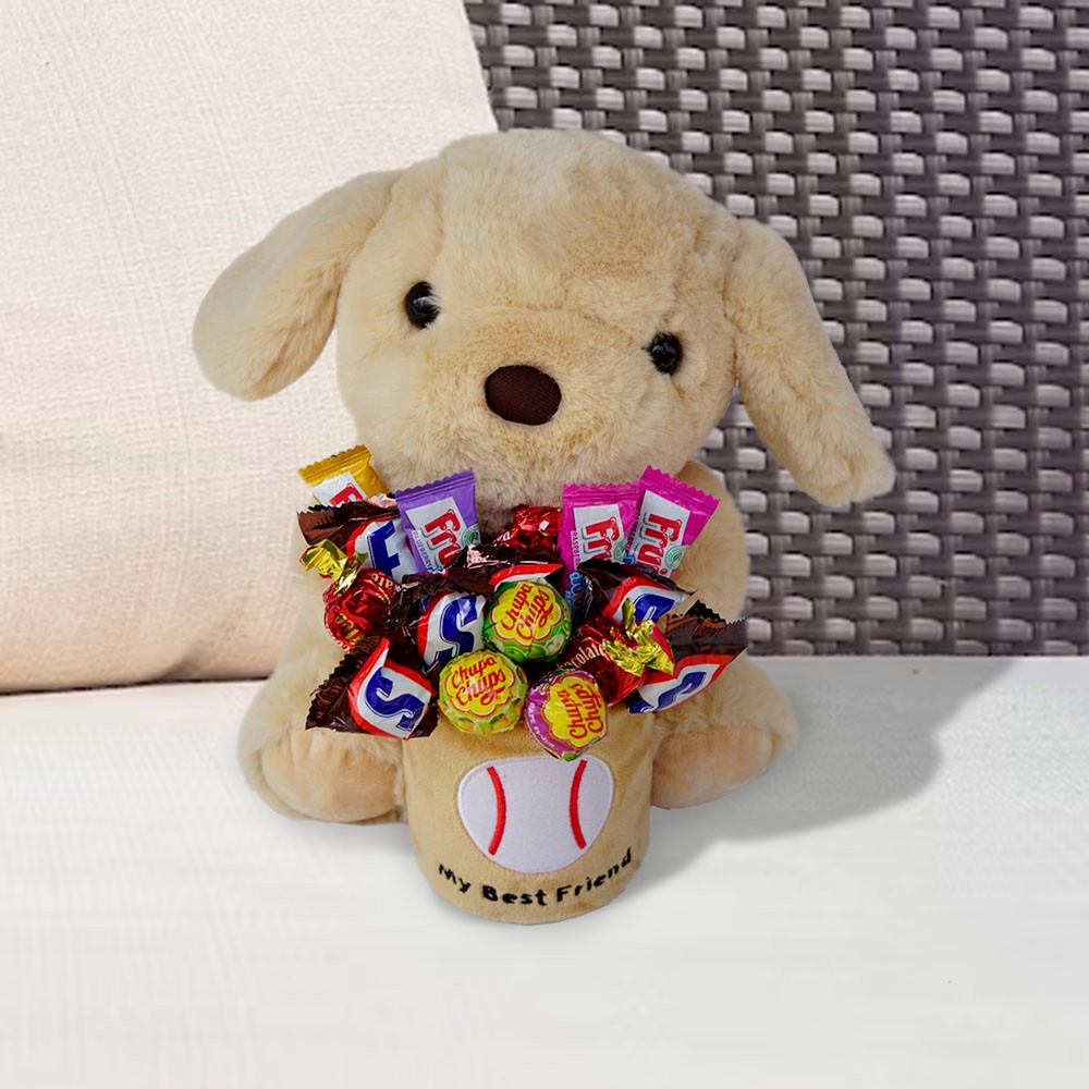 Custom Plush Dog Treat Holder, Plush Doll Dog, Plush Dog with Baseball