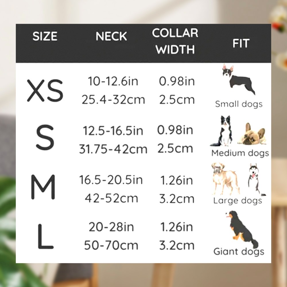 Personalized Dog Collar Compatible with Apple AirTag, Nylon Dog Collar