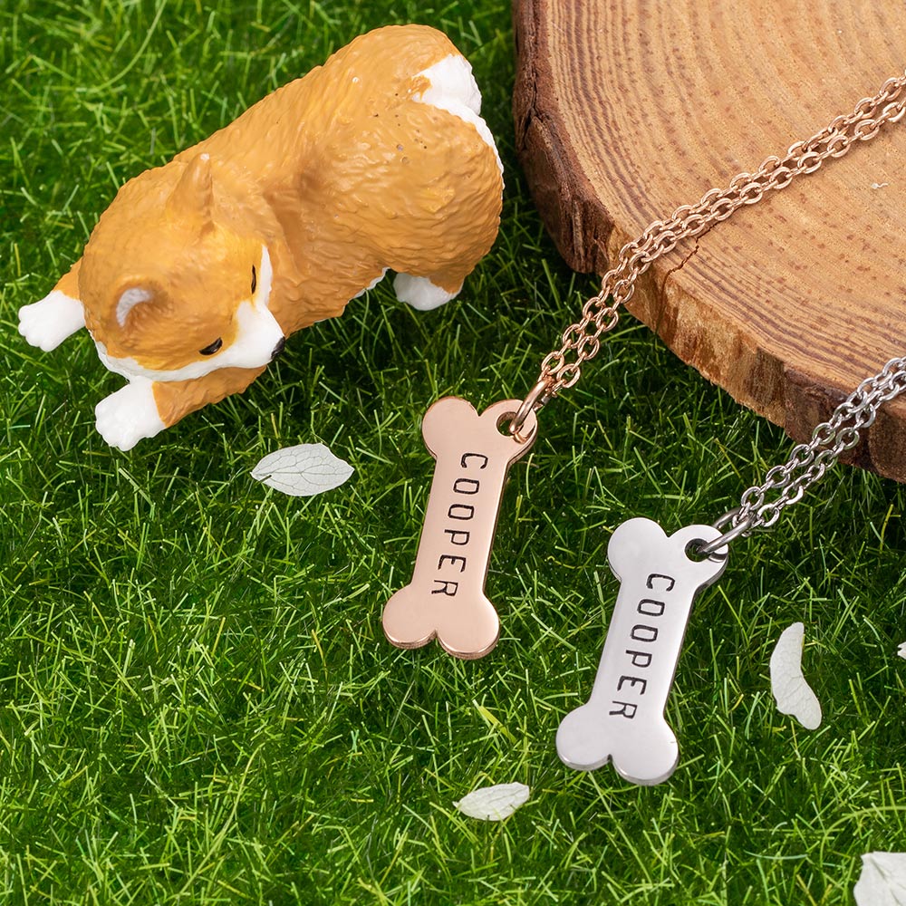 Personalized Collar Tag & Bone Necklace