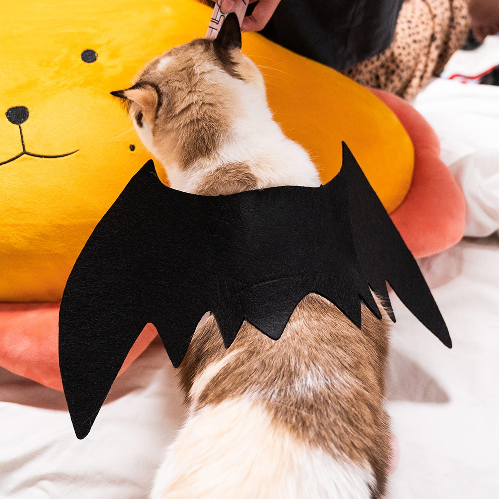 Personalized Halloween Bat Wing Pet Costume