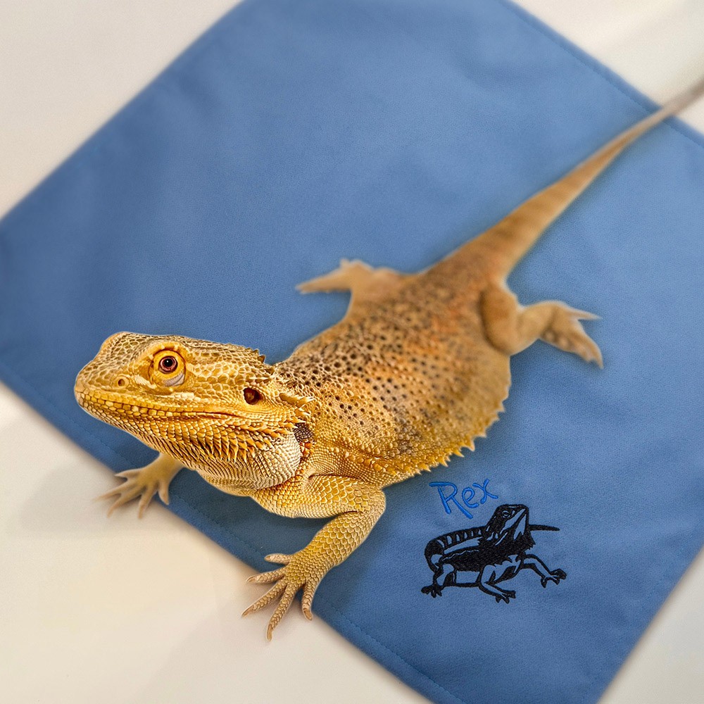 Personligt namn Bearded Dragon Filt, Bearded Dragon Beds, Reptil/Gecko Tank Cave Decorations Accessories, Bearded Dragon Starter Kit