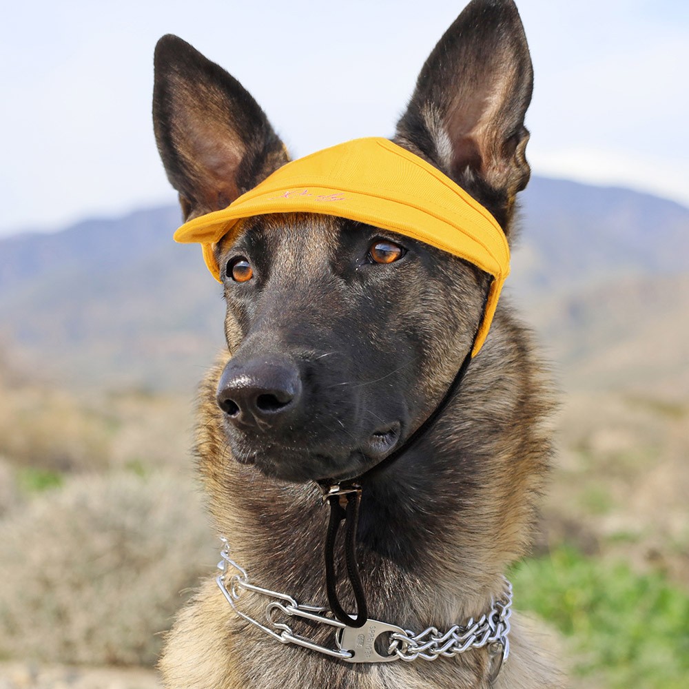 Dog Sun Hat For Large Dogs Personalized Dog Sun Hat With Ear Holes - Custom Name Pet Hat For Small & Medium Dogs Custom Name Dog Sun Protection