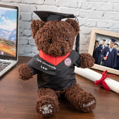 Custom Name Graduation Teddy Bear with School Badge, Plush Teddy Bear with Mortarboard, Graduation Gifts for Friends/Students/Kindergarten