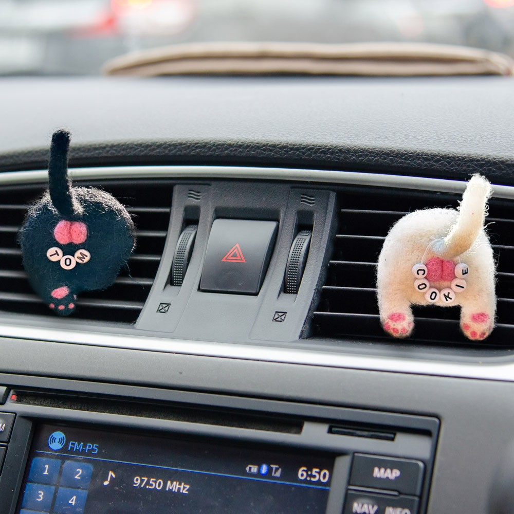 Car Accessories