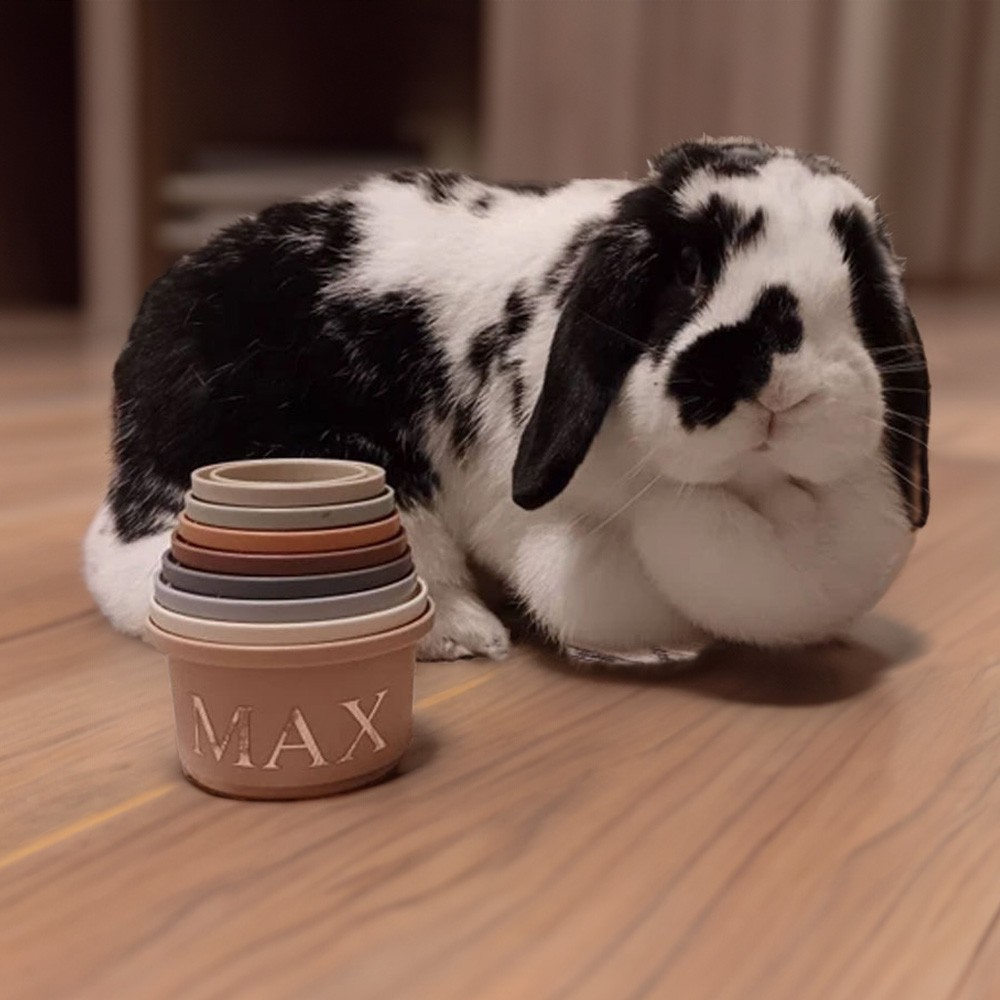 Bunny Stacking Cups