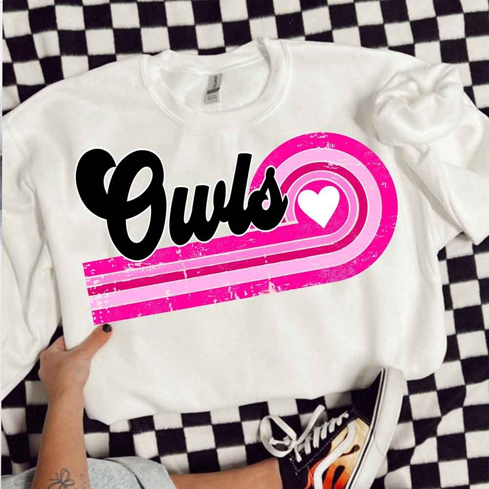 Personalized Name Retro Design Sweatshirt for High School Mascot, Custom Multicolor Sweatshirt, Valentine’s Day Gift, Gift for Her/Him