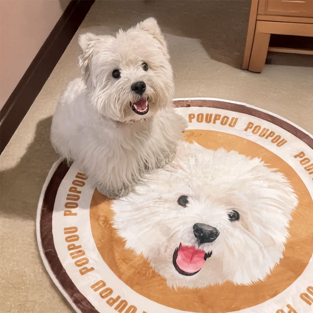 dog rug