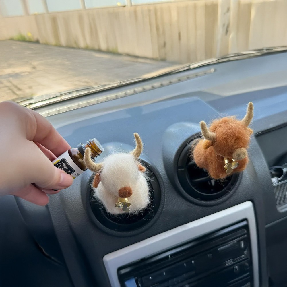 car decor