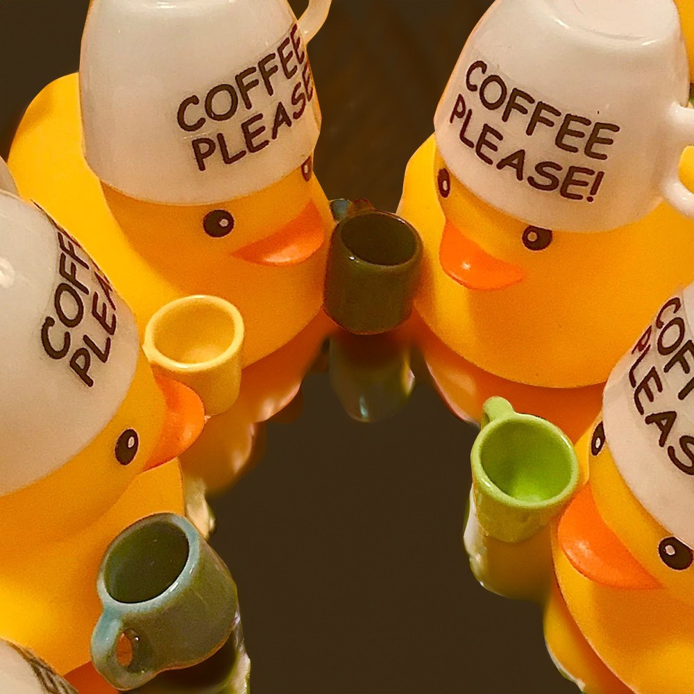 jeep ducks for ducking
