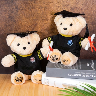 Custom-built Graduation Teddy Bear with School Badge