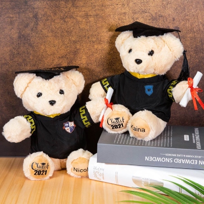 Custom-built Graduation Teddy Bear with School Badge