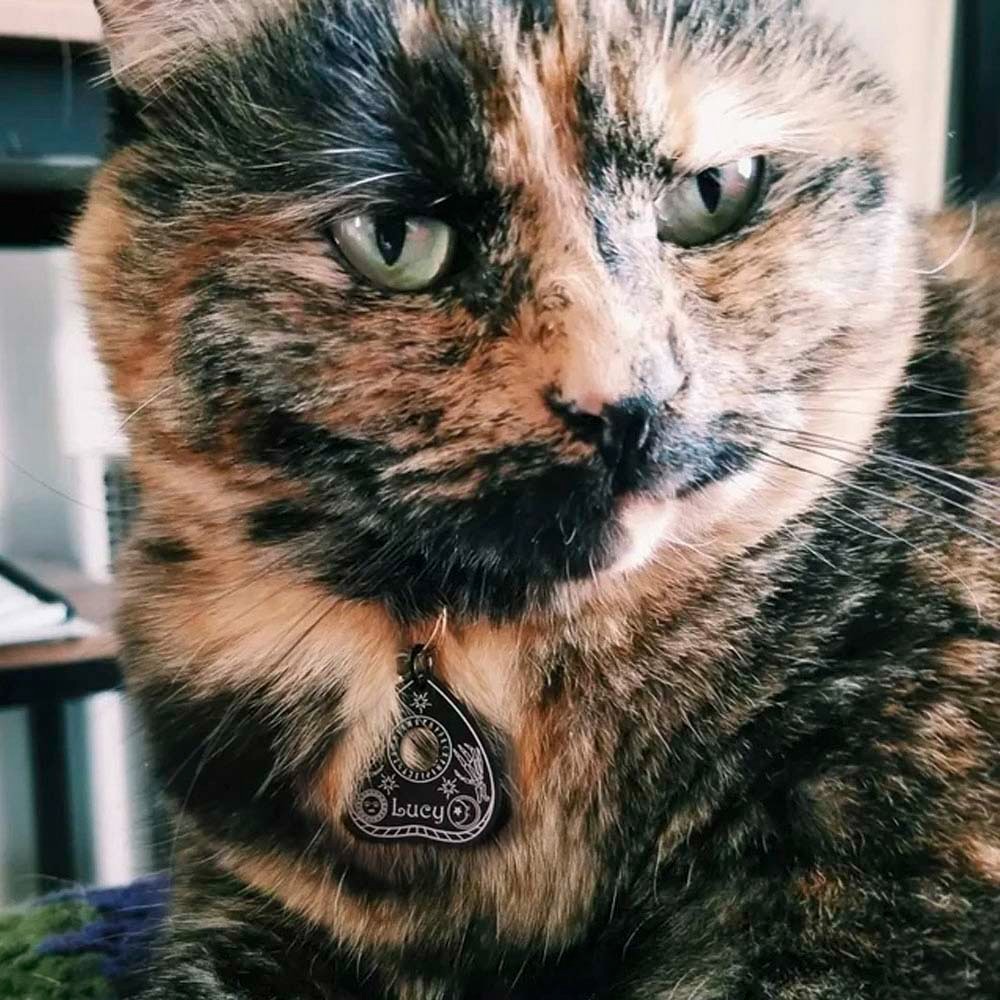 Id 