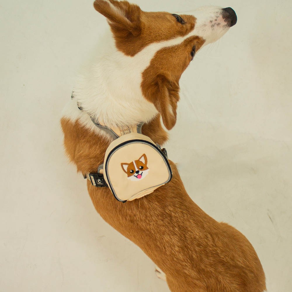 Custom Pet Backpack and Harness Sets