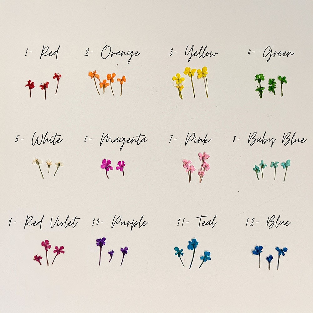 University Jewelry 