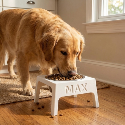Personalized Elevated Pet Bowl Stand with Name, 3D Printed Colorful Cat/Dog Food & Water Feeder Holder, Pet Neck Friendly, Gift for Pet Lovers/Owners
