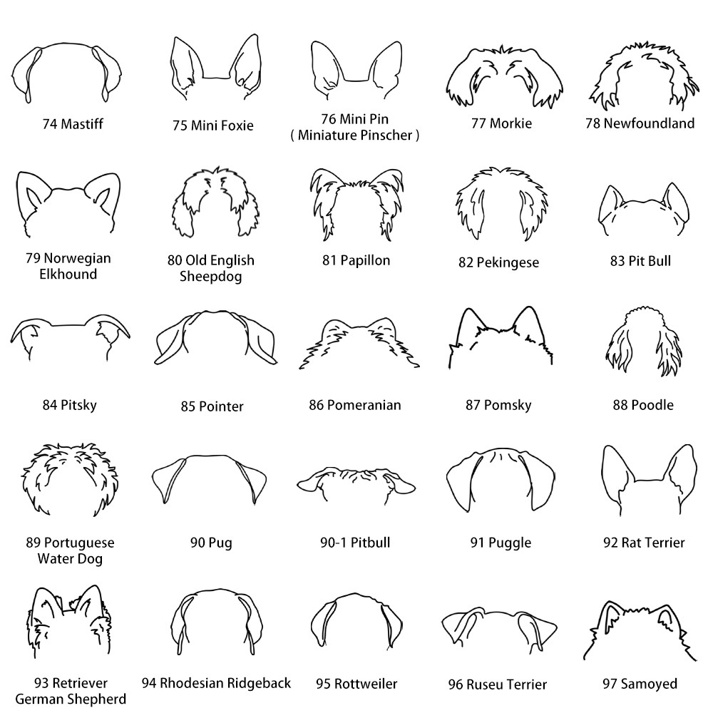 Portachiavi orecchio di cane con nome personalizzato, portachiavi orecchio di gatto, portachiavi in finta pelle, accessori per animali, regalo di compleanno, regalo per gli amanti degli animali domestici/mamma del cane/proprietario del gatto