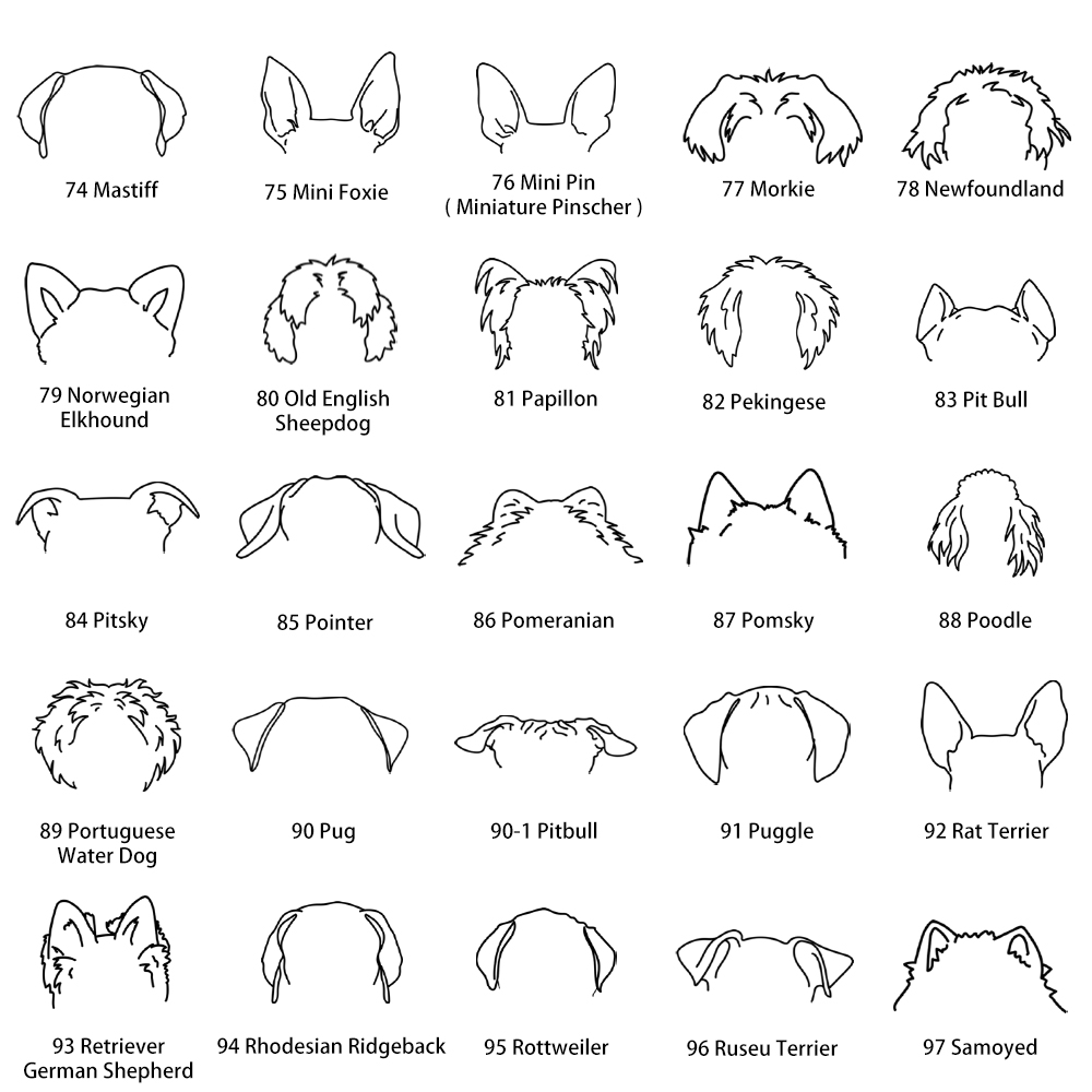  Dog Ear4