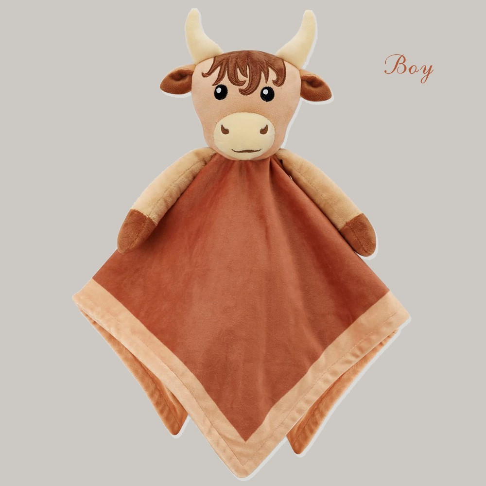 baby blankets for girls