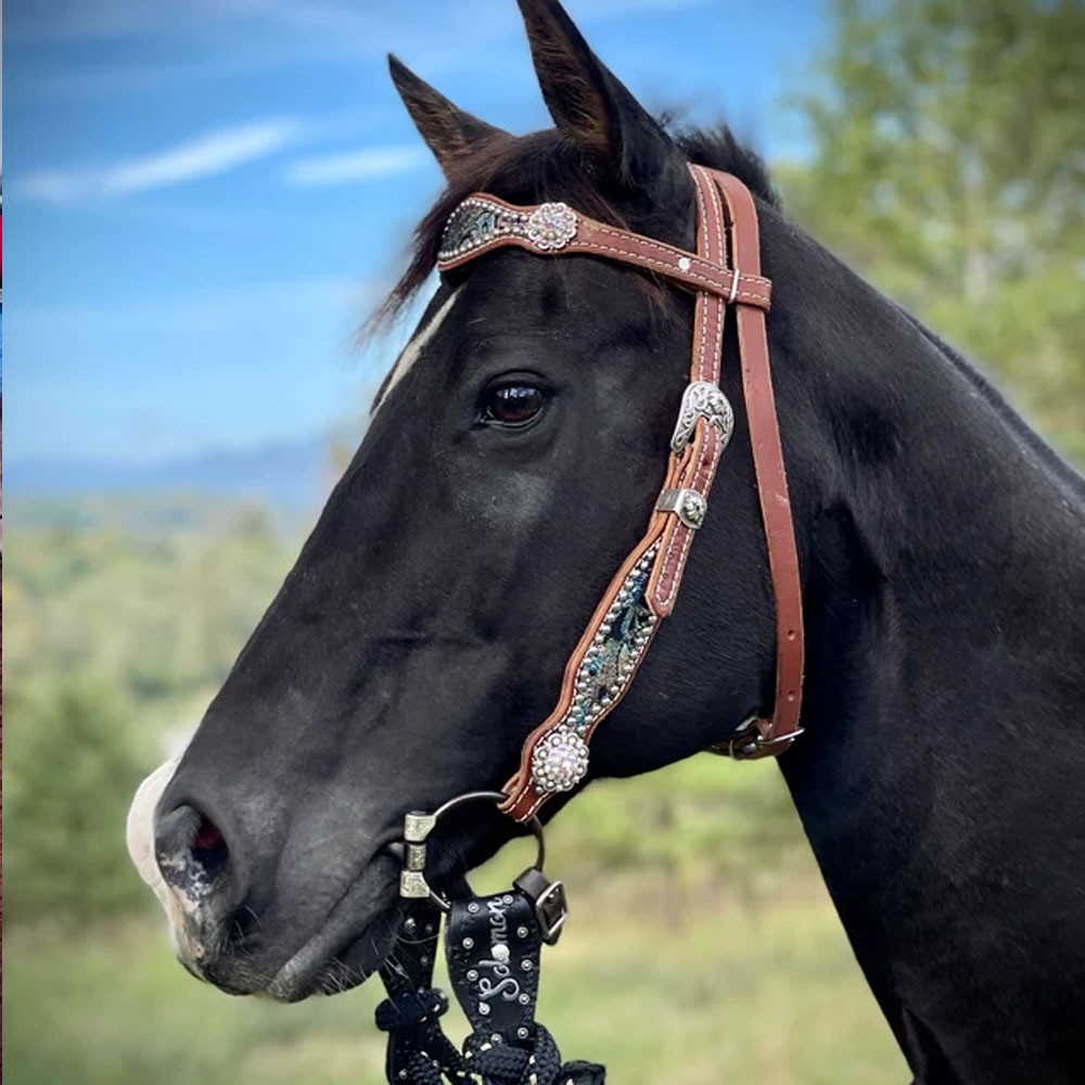 Custom Horse Reins & Slobber Straps