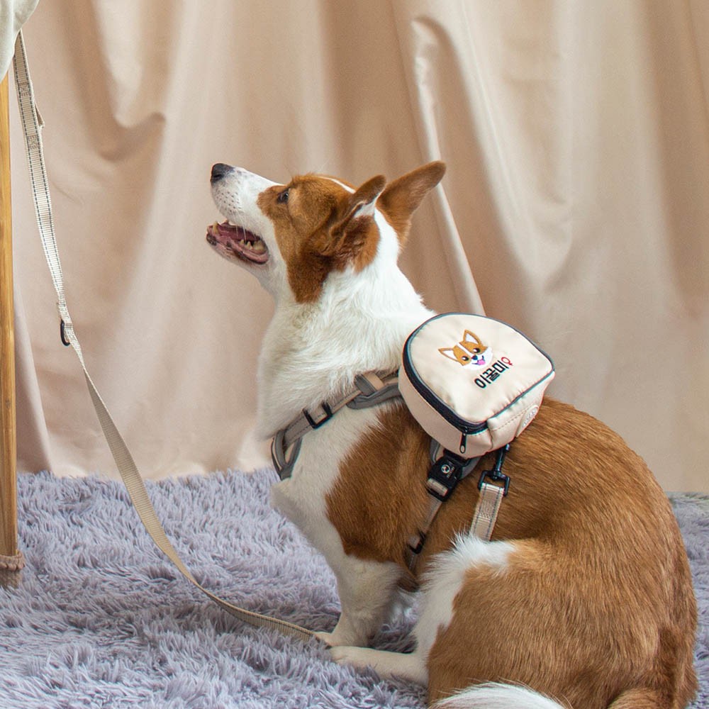 Custom Pet Backpack and Harness Sets