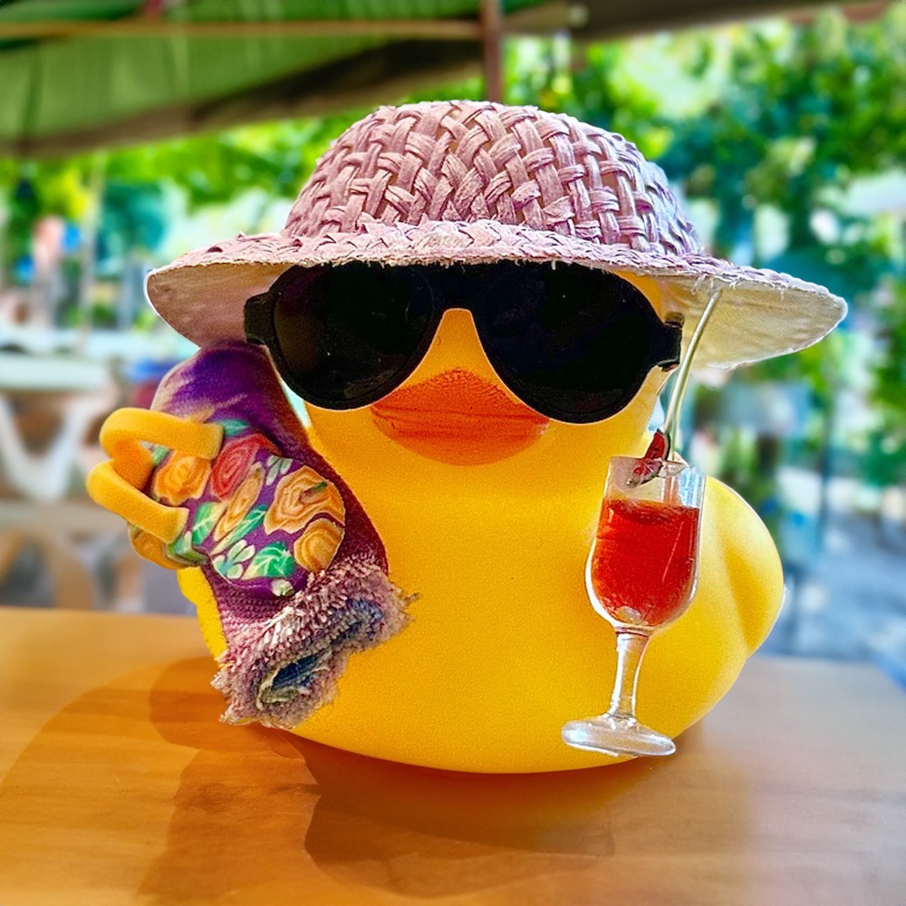 car duck