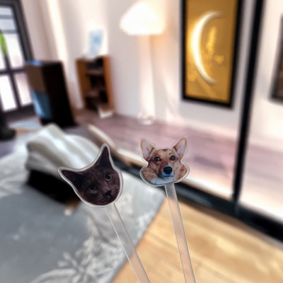 pet portrait