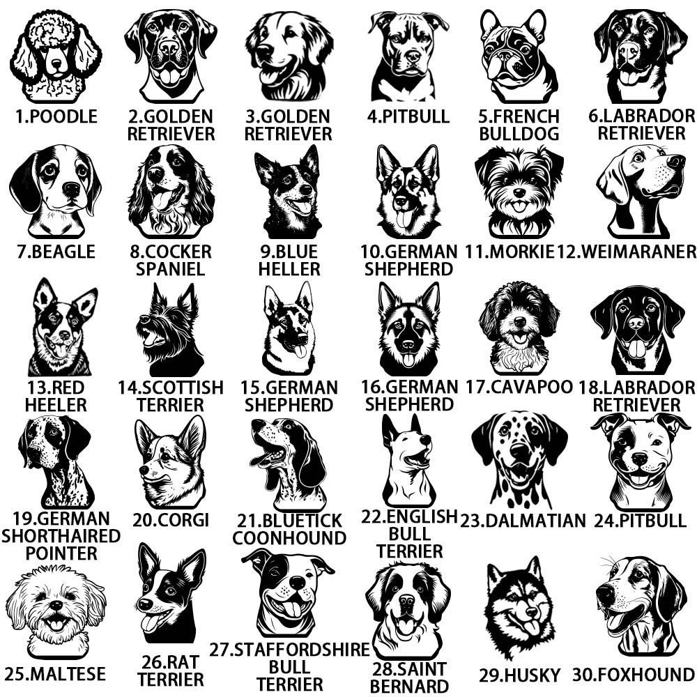 Hund