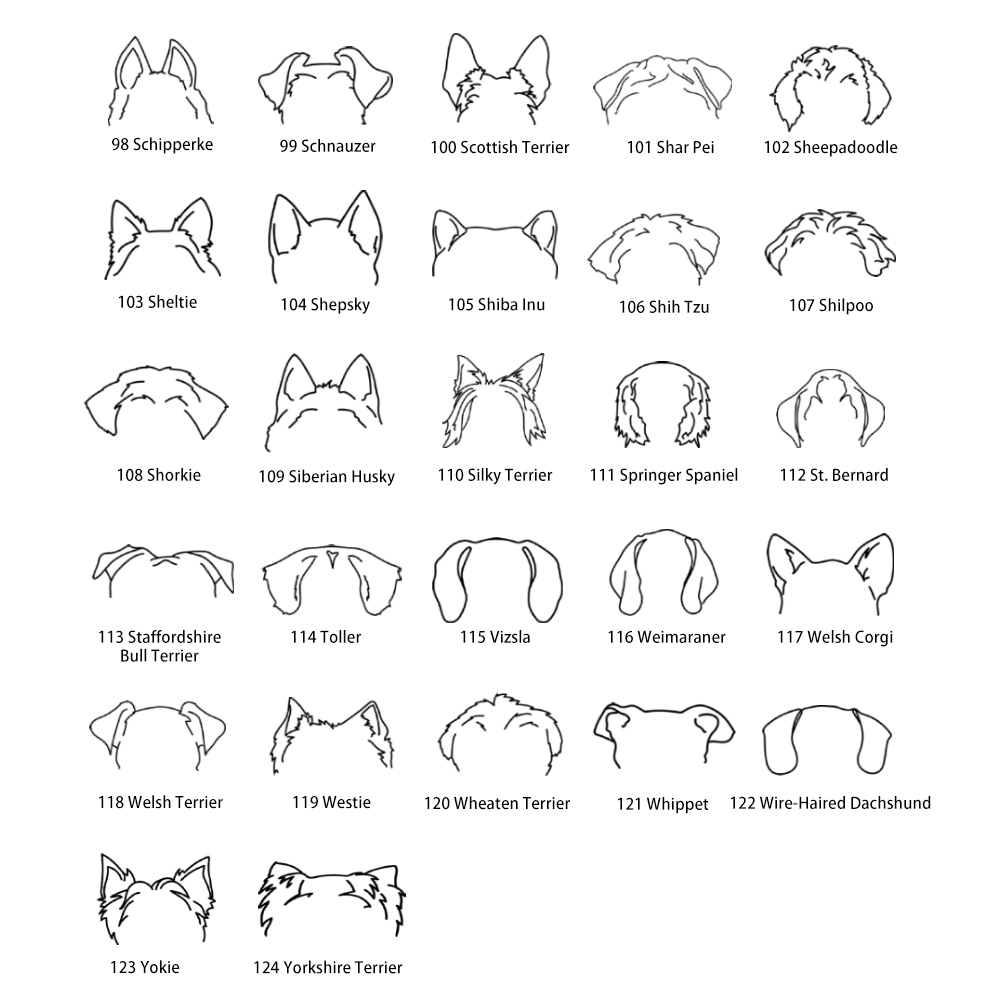  Dog Ear5