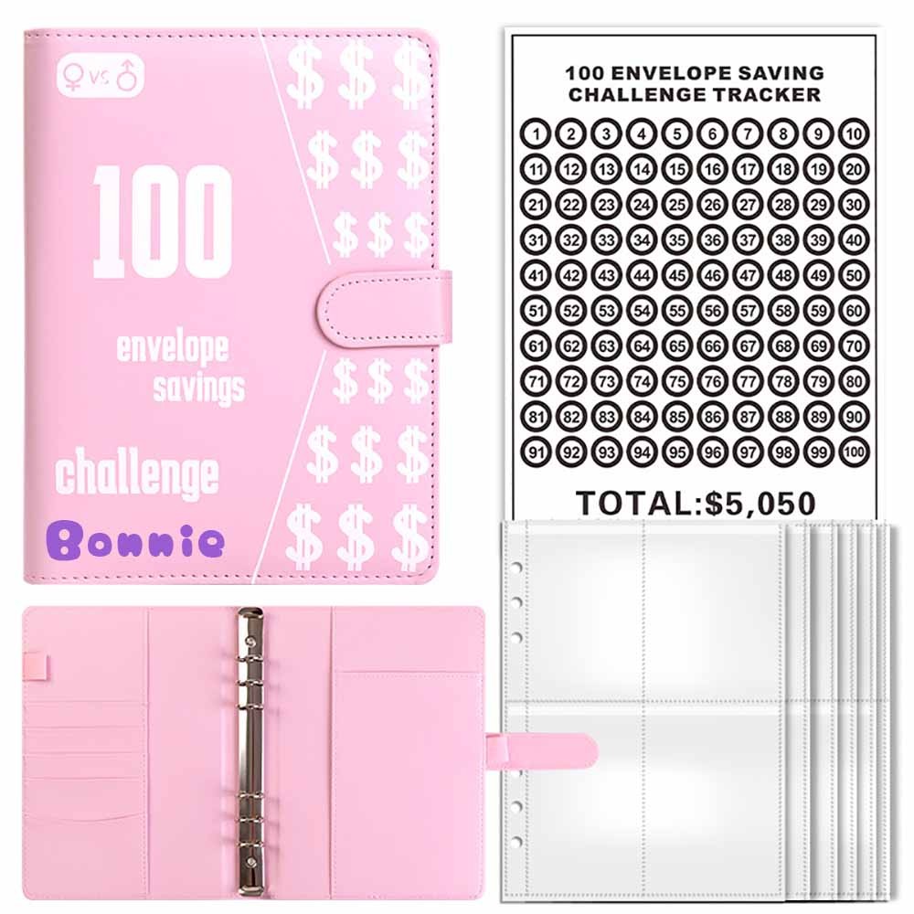 I Tested The 100 Day Envelope Challenge Binder And Here's What Happened