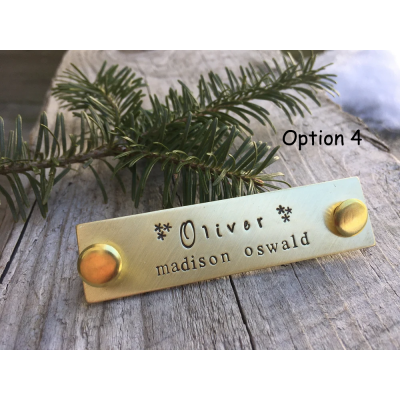 Personalized Horse Halter Nameplate – Custom Brass ID Tag, Equestrian Gift, Saddle Plate