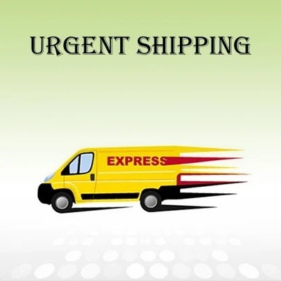 Express Shipping(DHL)