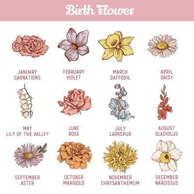 birth flower