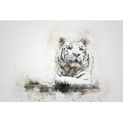 【TEST's0917】