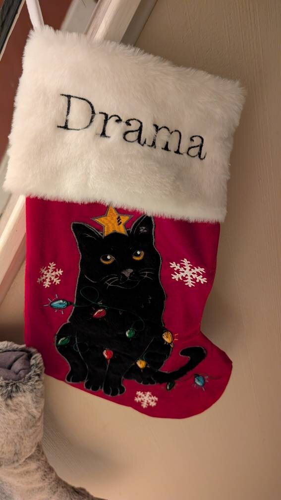 Christmas Stockings Personalized Velvet Pet Stockings with Name Embroidered Holiday Cat Stockings Dog Family Stockings Christmas Decoration