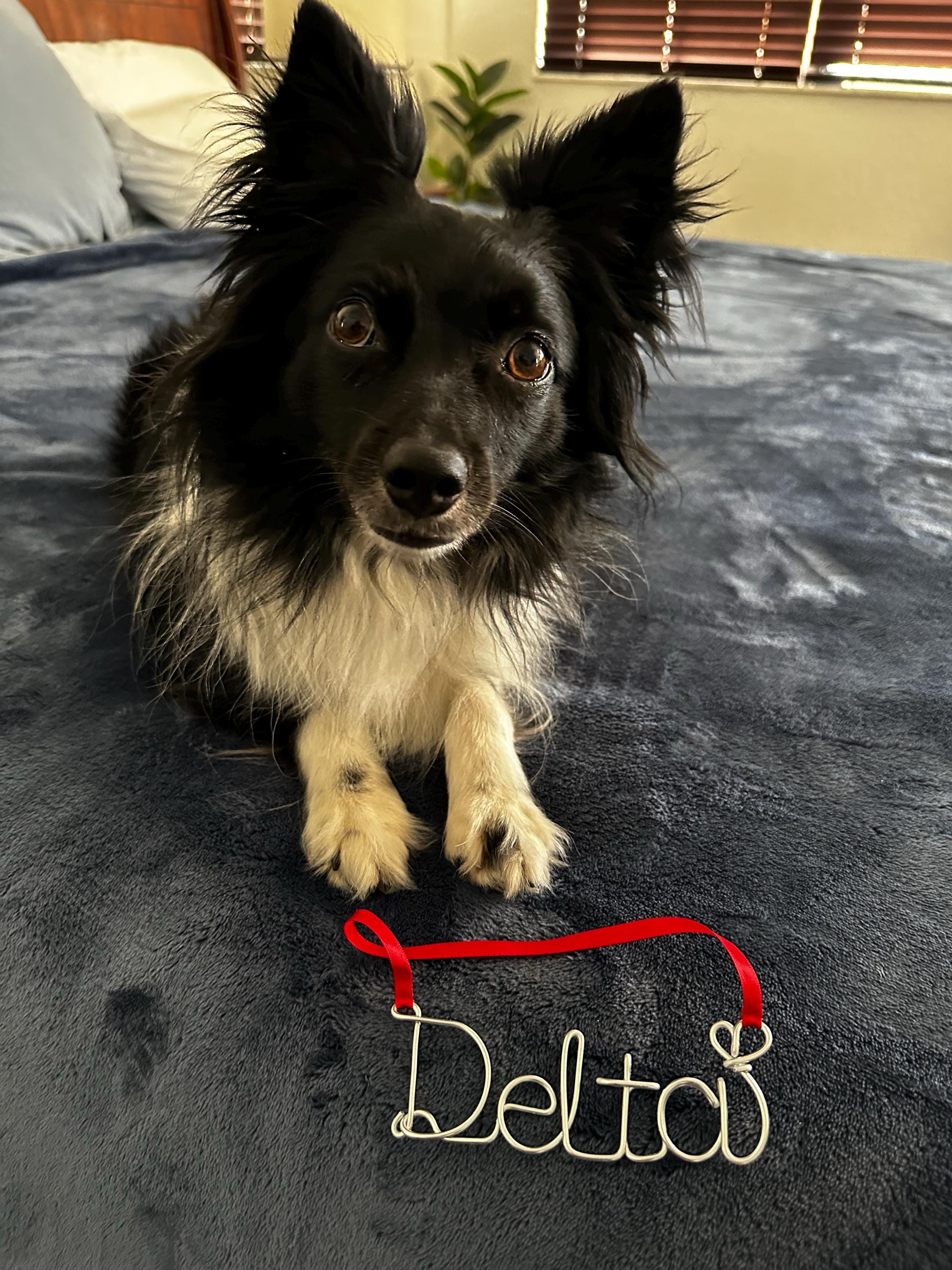 2025 Personalized Wire Name Christmas Ornament, Handmade ornament, Christmas Ornaments 2025, family tree, 2025 Personalized ornament