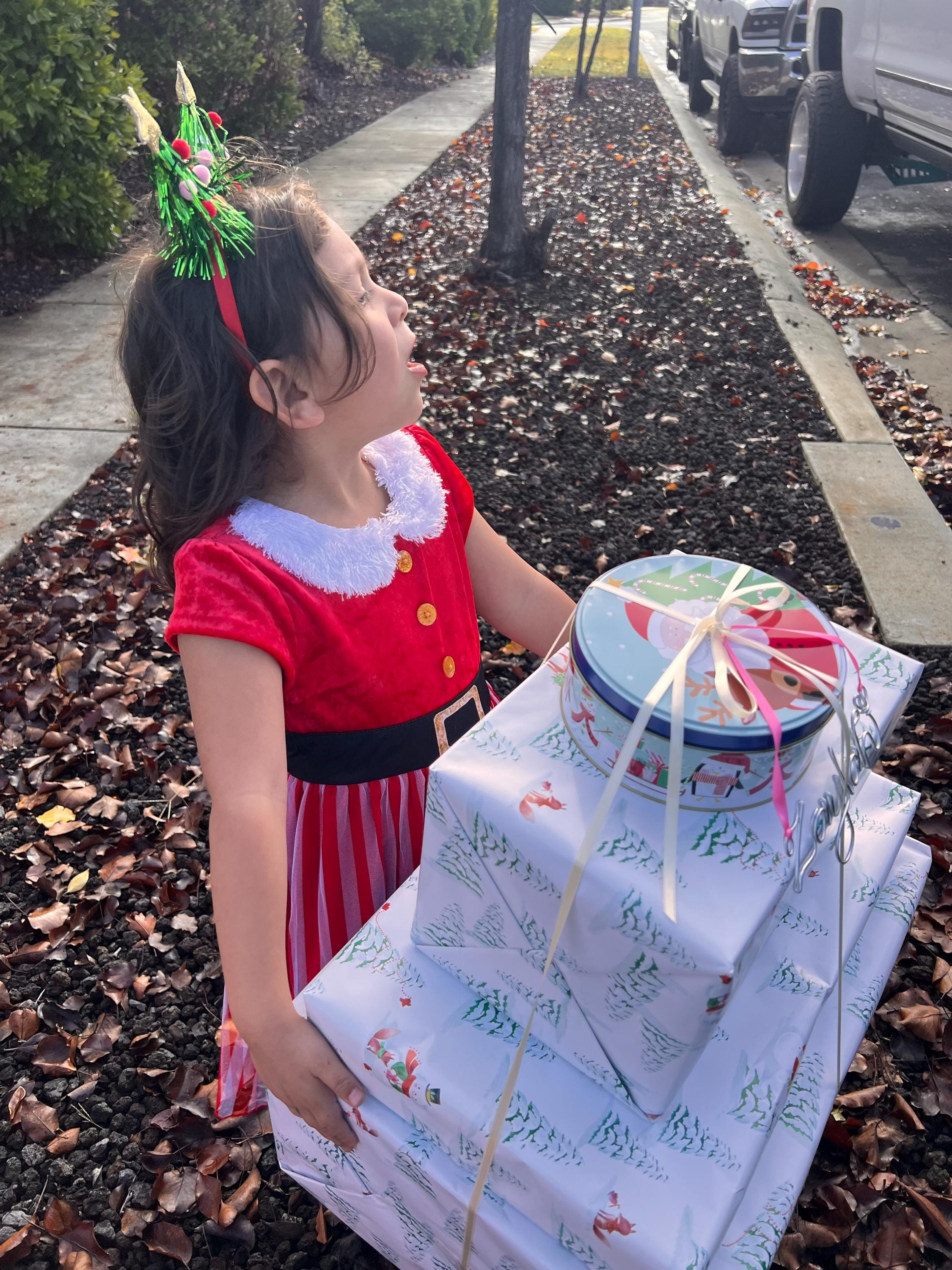 2025 Personalized Wire Name Christmas Ornament, Handmade ornament, Christmas Ornaments 2025, family tree, 2025 Personalized ornament