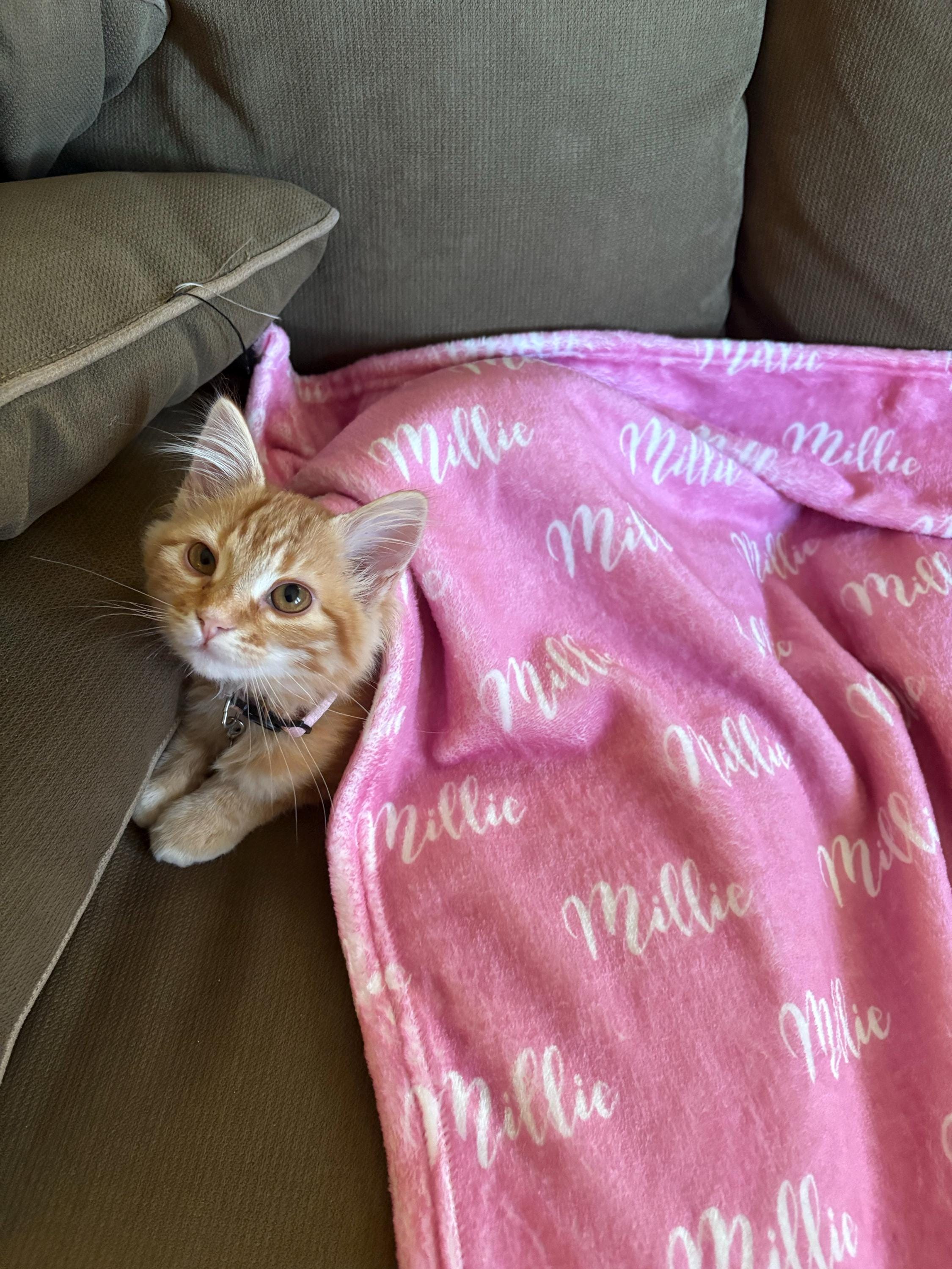 Custom Name blanket ,Grandma Name Blanket,Customized Blankets For Children's Birthdays/Holidays,Baby Name Blanket,Custom Name Elsa Blanket