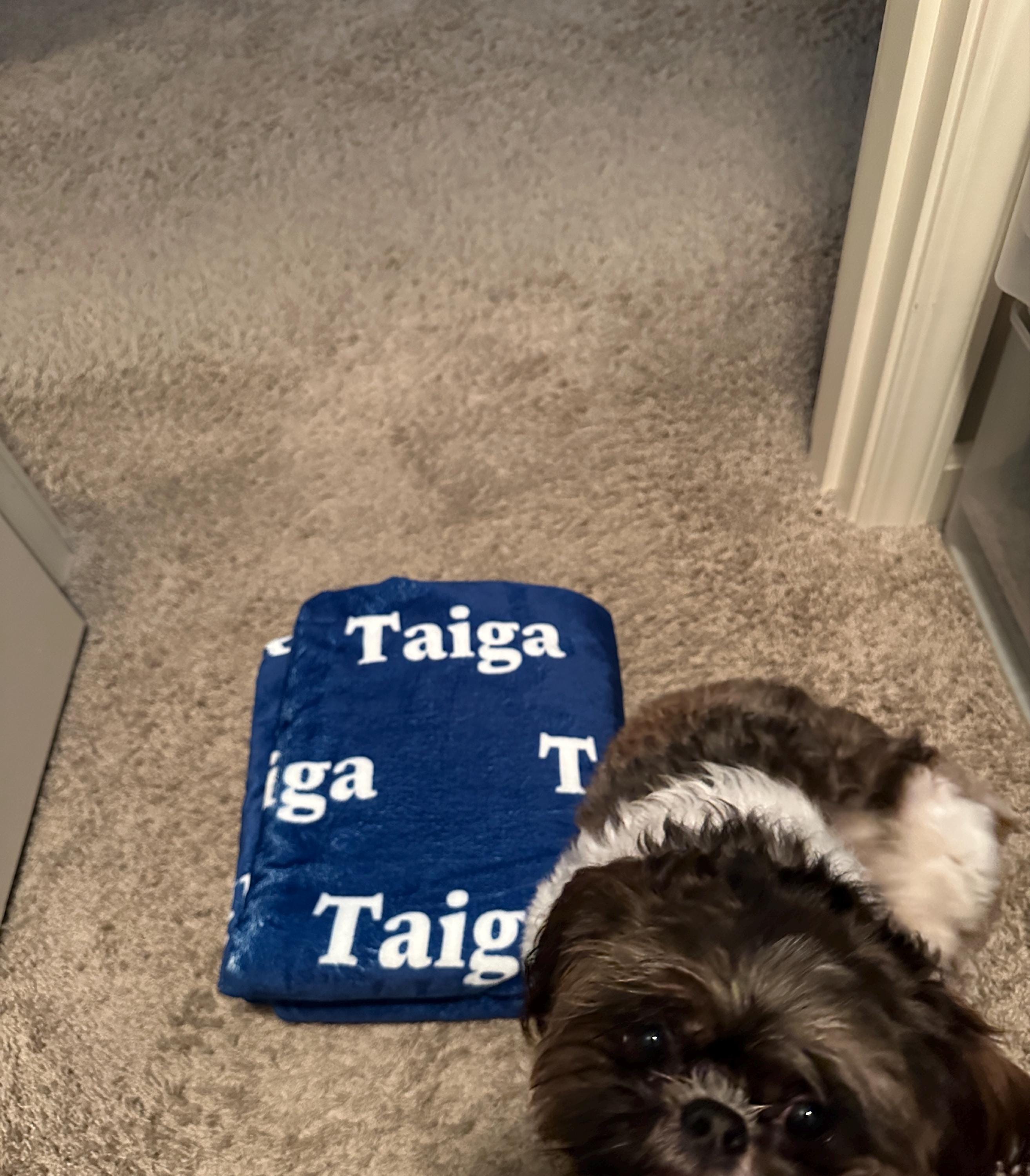 Custom Name blanket ,Grandma Name Blanket,Customized Blankets For Children's Birthdays/Holidays,Baby Name Blanket,Custom Name Elsa Blanket