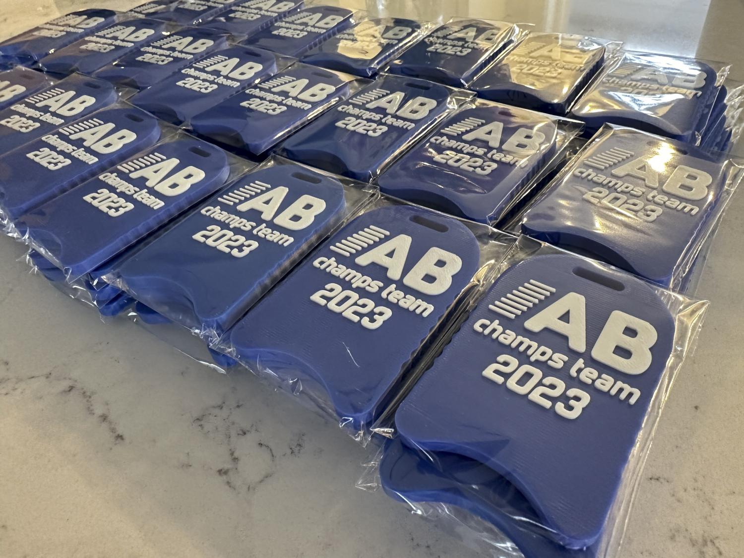 Swimming Personalized Kickboard Custom Bag Tag • Swimmer Swim Bag Tag 3D Printed Kick Board! Team Coach Gift Stocking Stuffer! State Meet!