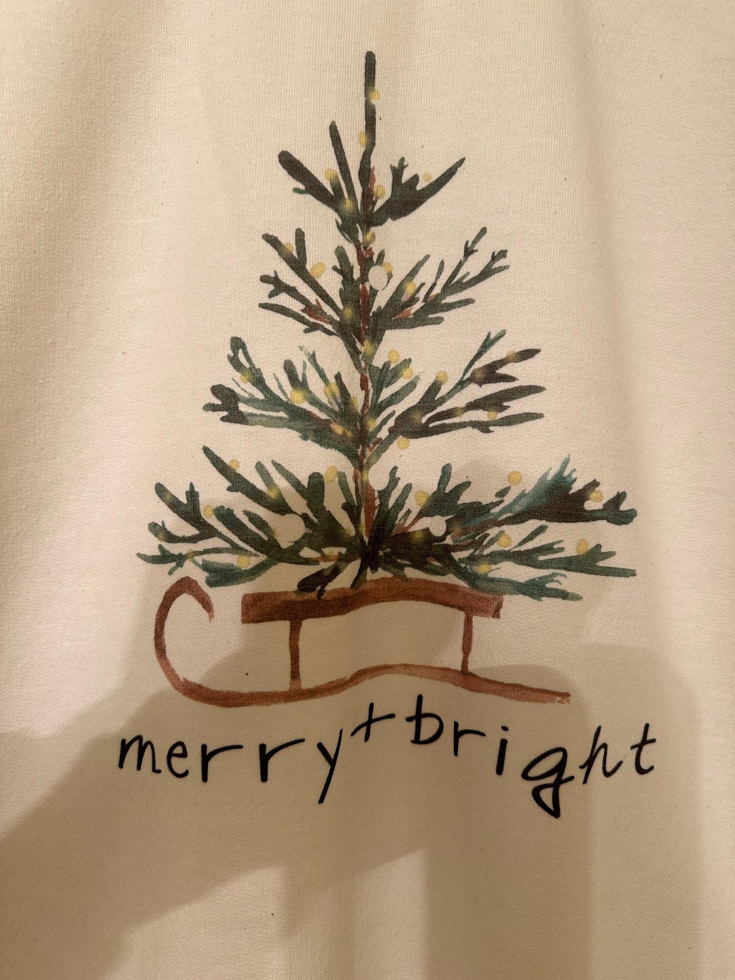 Christmas Sweatshirt for Women, Merry and Bright Hooded Sweatshirt, Christmas Tree Crewneck Sweater, Matching Family Group Holiday Shirts