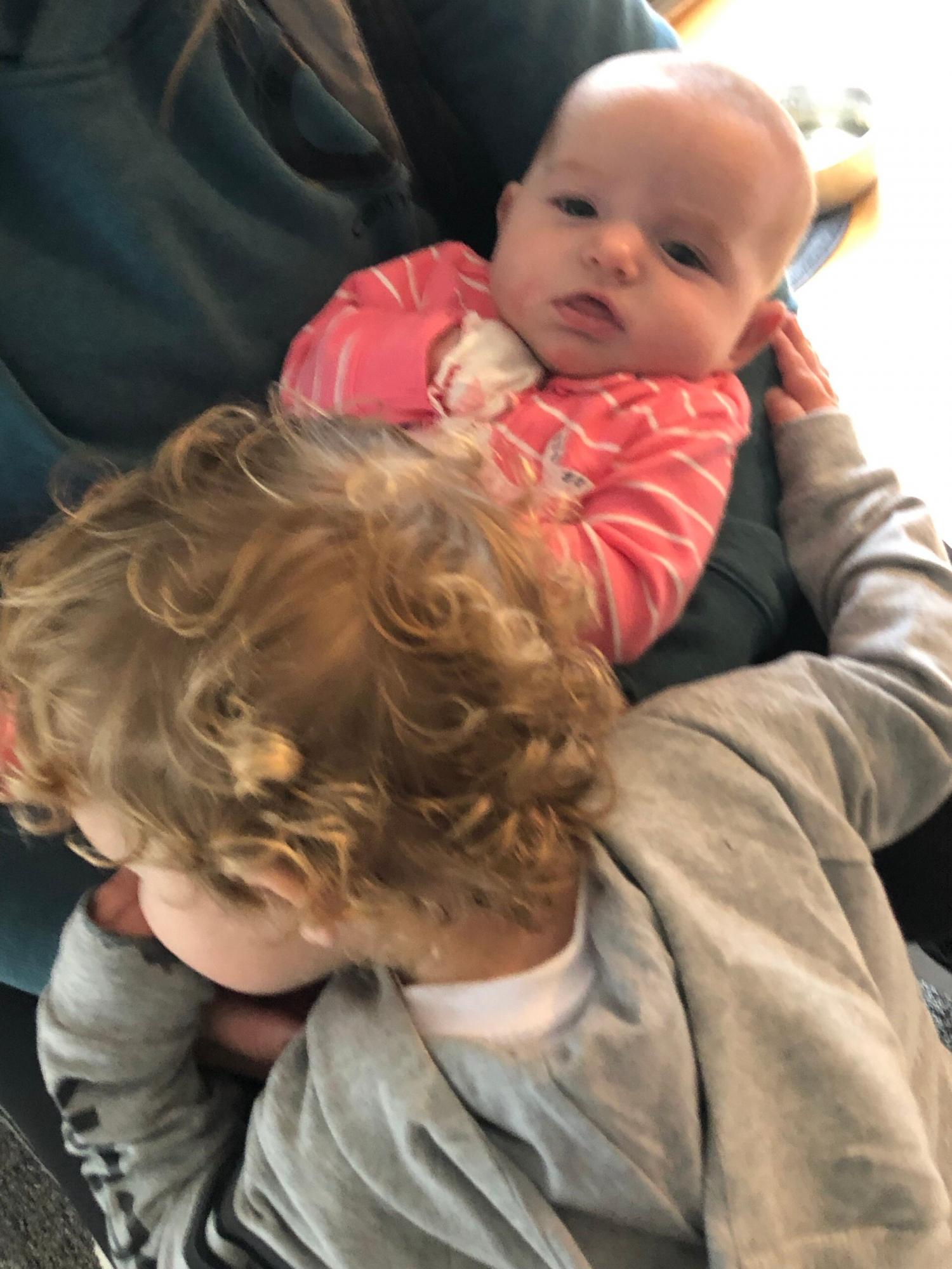 Christmas Sweatshirt for Women, Merry and Bright Hooded Sweatshirt, Christmas Tree Crewneck Sweater, Matching Family Group Holiday Shirts