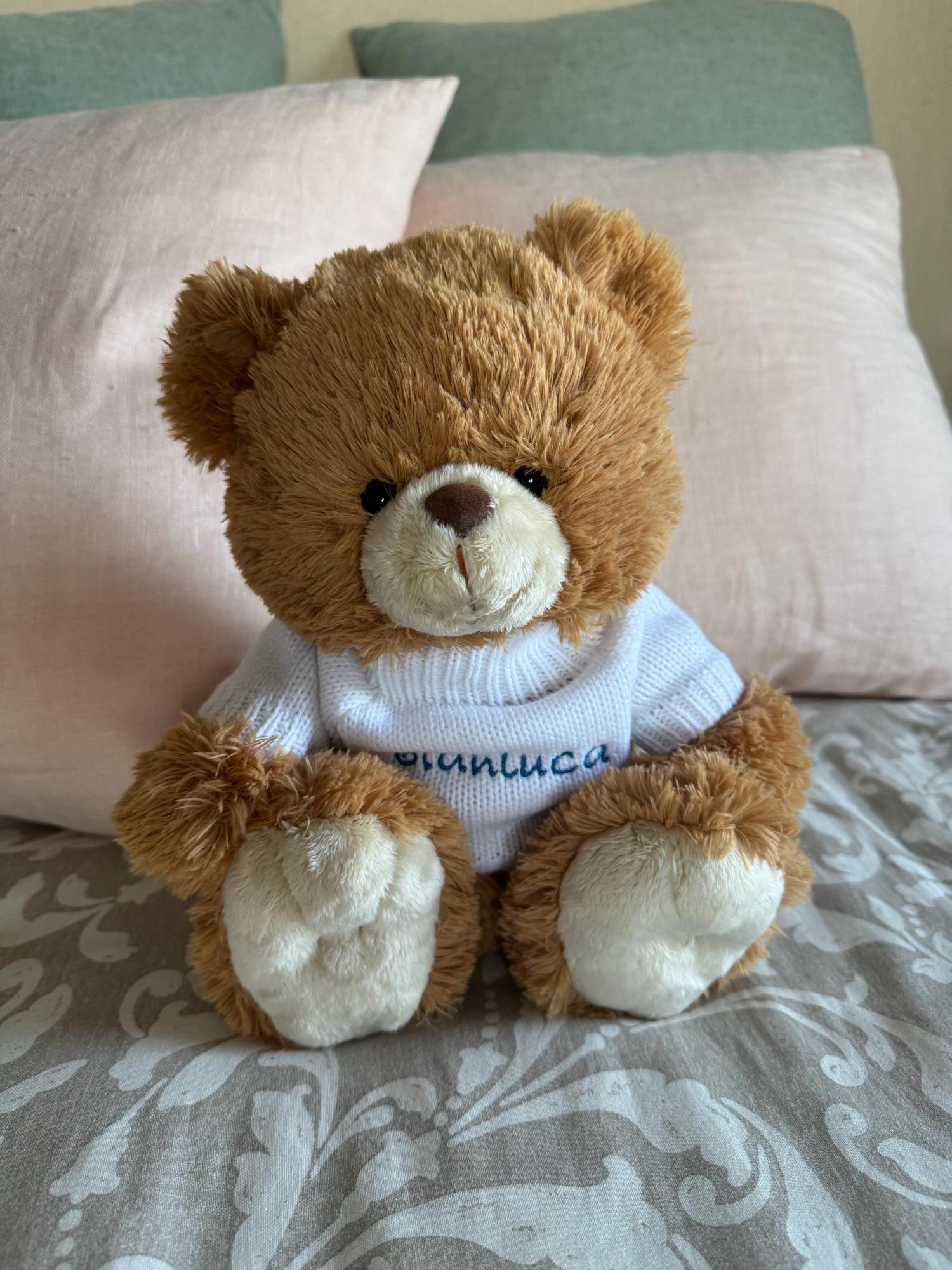 Personalized Teddy Bear - Custom embroidered white knit sweater - Boyfriend/girlfriend gift - Baby shower - Very soft and cute! - Size 10"