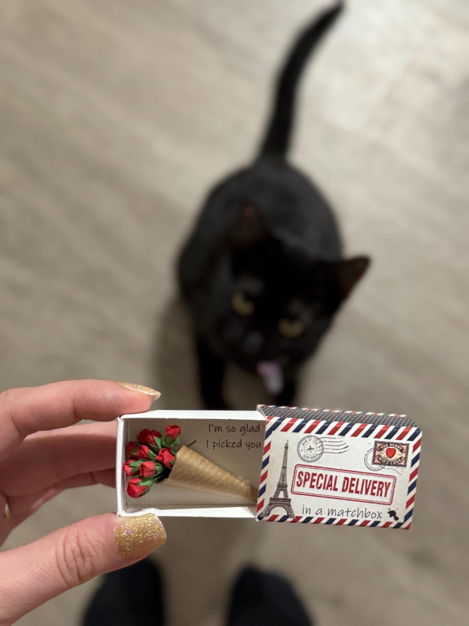 Special delivery A Dozen Red Paper Roses Miniature Bouquet In A Matchbox, Valentines Gift For Her, Alternative Valentines Card, Love Token,