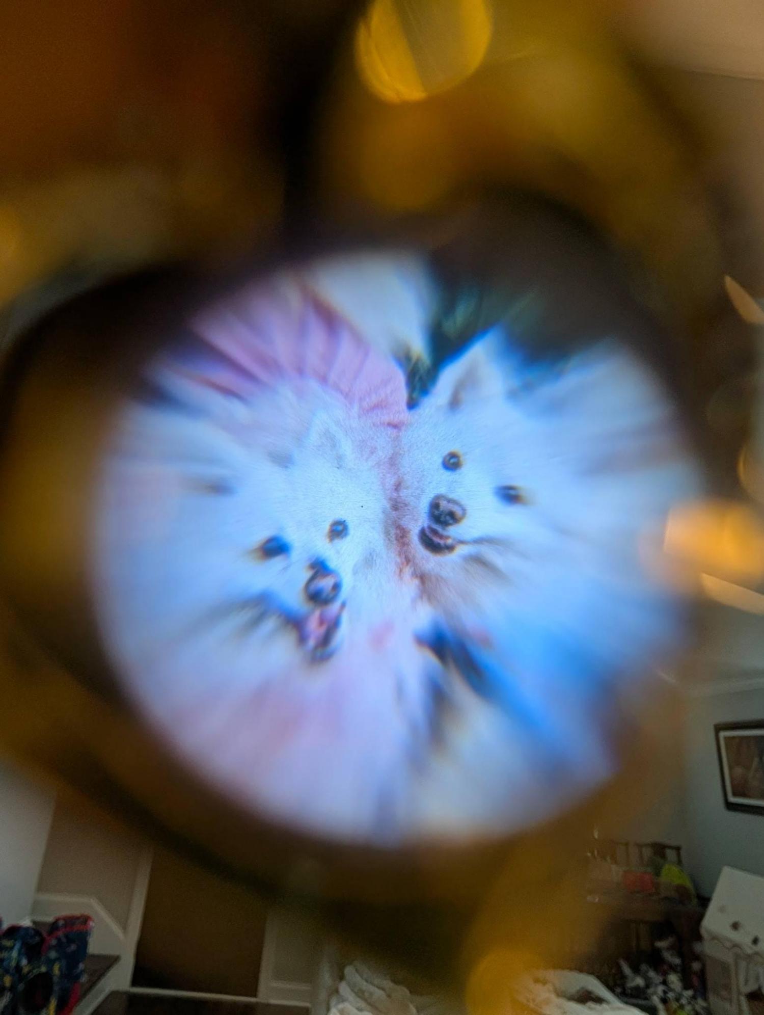 Photo Projection Heart Necklace • Personalized Picture Inside Pendant • Minimalist Pet Memorial Jewelry • Trendy Best Friend Custom Gift